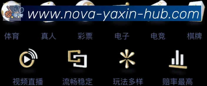 安全合规